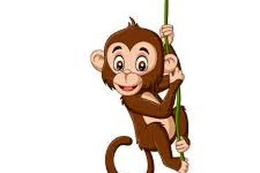 سایه‌ درست میمون را در این تست هوش پیدا کنید