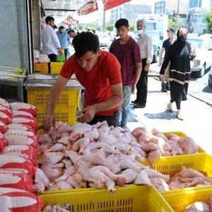 اعلام نرخ جدید مرغ و گوشت