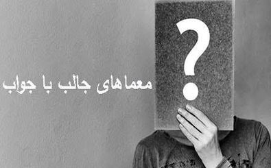 شاهزاده خانمی که انسان نیست را در تصویر  پیدا کنید!