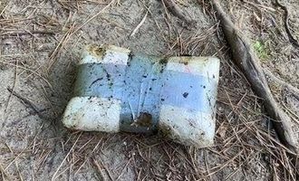 چرا قاچاقچیان از تصویر ترامپ برای بسته‌بندی کوکائین استفاده می‌کنند؟