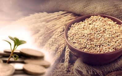 فطریه برای هر نفر چه مقدار است و چه چیزی باید به عنوان فطریه پرداخت شود؟
