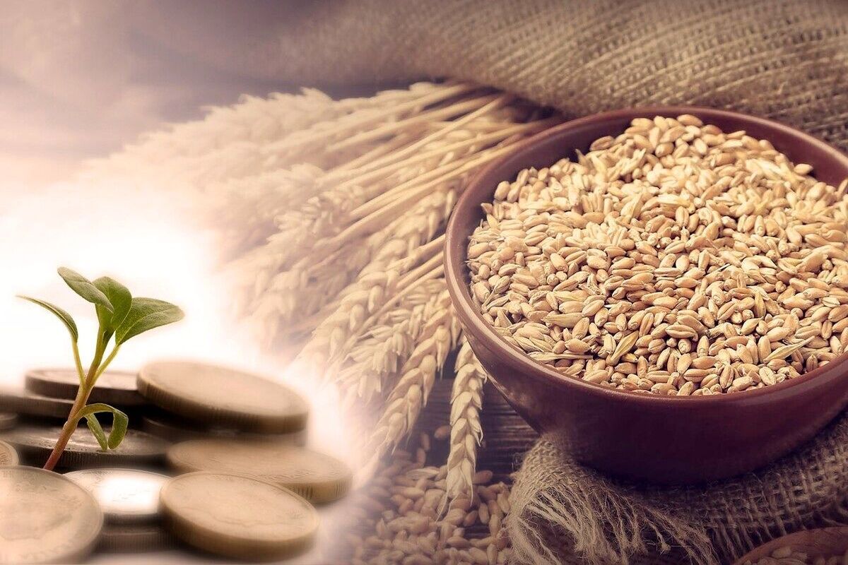 فطریه برای هر نفر چه مقدار است و چه چیزی باید به عنوان فطریه پرداخت شود؟
