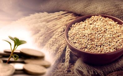 فطریه برای هر نفر چه مقدار است و چه چیزی باید به عنوان فطریه پرداخت شود؟
