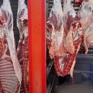 قیمت گوشت قرمز امروز ۱۴ بهمن