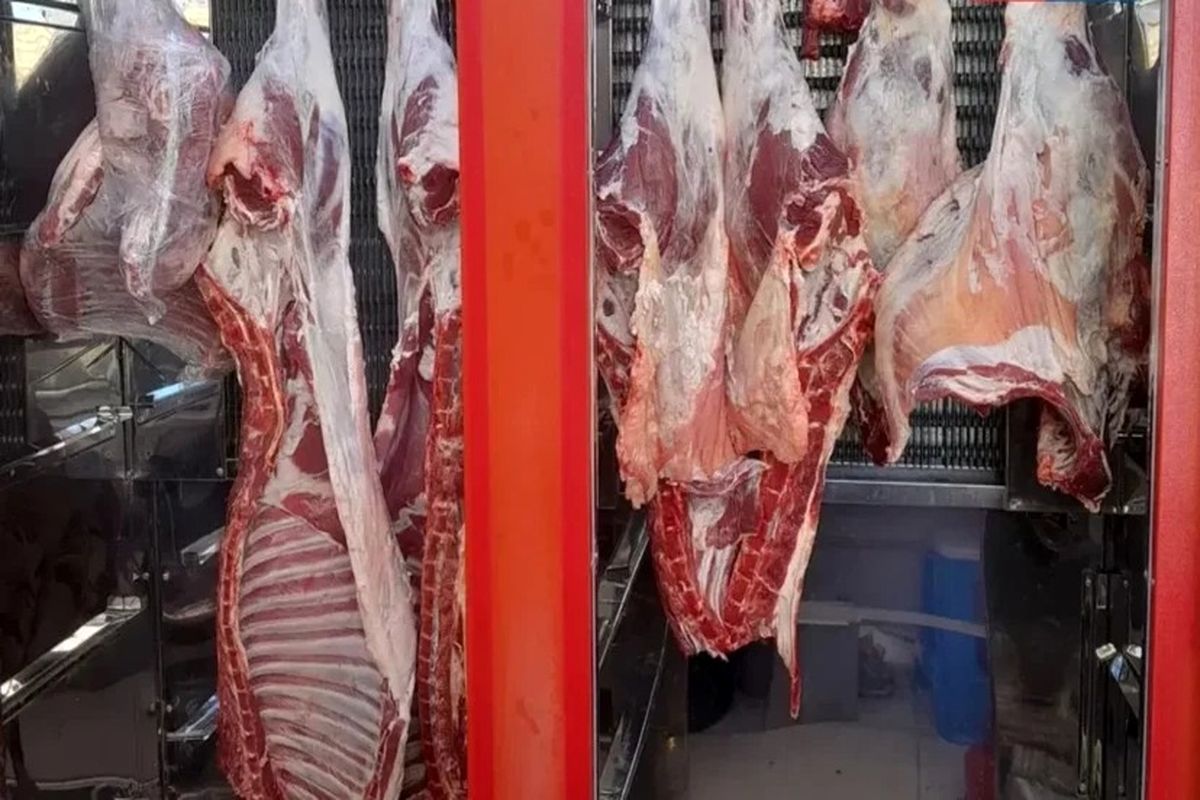 قیمت گوشت قرمز امروز ۱۴ بهمن