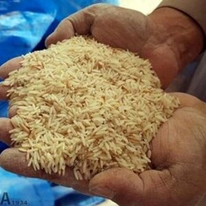 قیمت برنج به شدت تغییر کرد