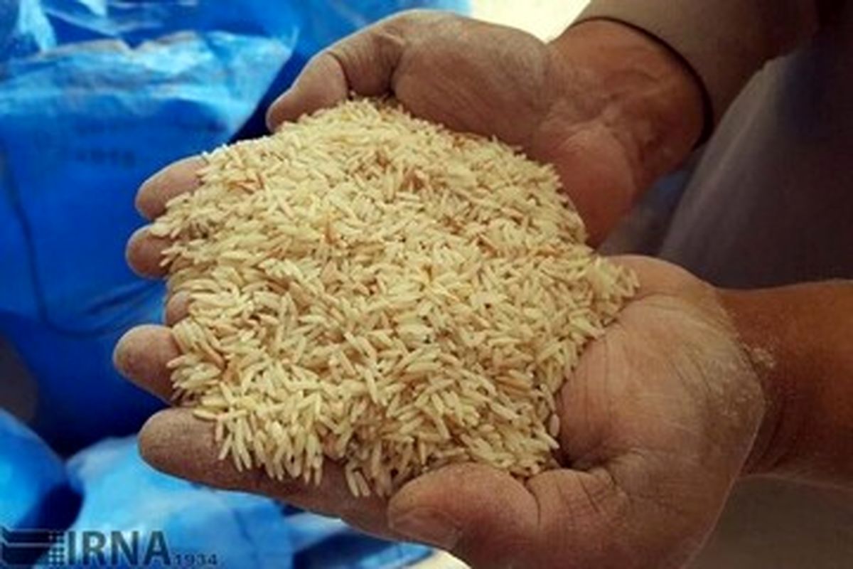 قیمت برنج به شدت تغییر کرد