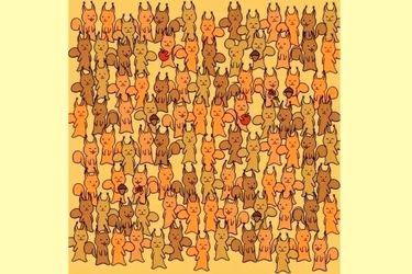 موش را  در میان چندین سنجاب پیدا کنید