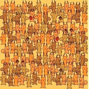 موش را  در میان چندین سنجاب پیدا کنید