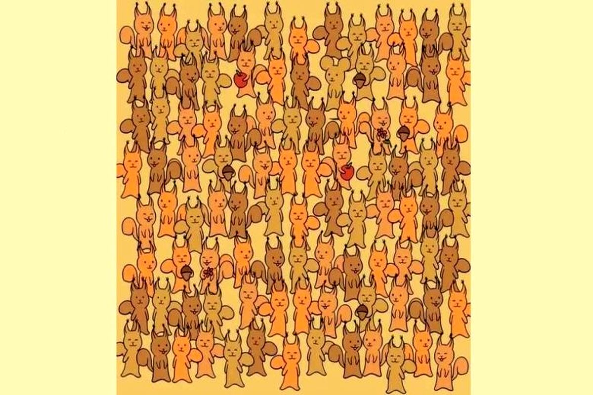 موش را  در میان چندین سنجاب پیدا کنید