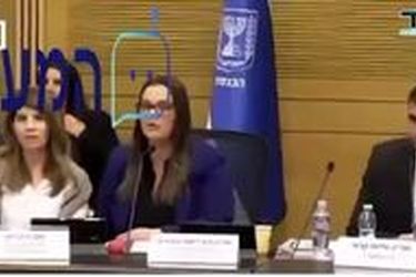 یک عنکبوت جلسه کنست رژیم صهیونیستی را مختل کرد/ ویدئو