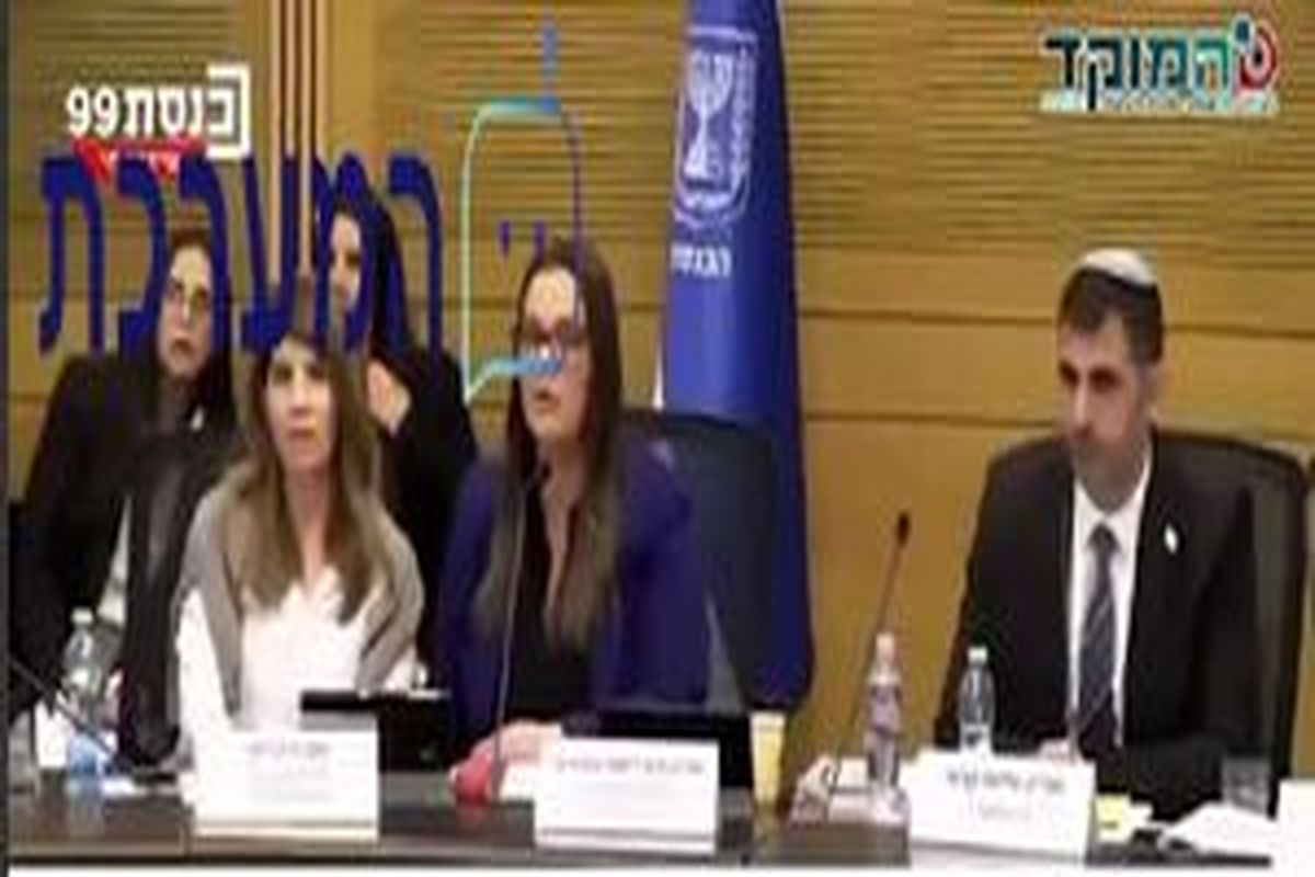 یک عنکبوت جلسه کنست رژیم صهیونیستی را مختل کرد/ ویدئو