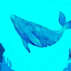 پری دریایی‌های پنهان شده در تصویر را پیدا کنید