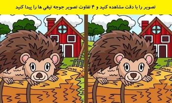  4 تفاوت در این دو تصویر را پیدا کنید