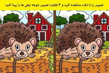  4 تفاوت در این دو تصویر را پیدا کنید