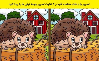  4 تفاوت در این دو تصویر را پیدا کنید