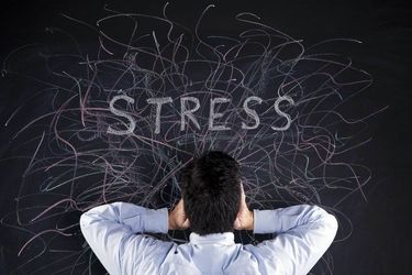 برای کاهش استرس چی بخوریم؟