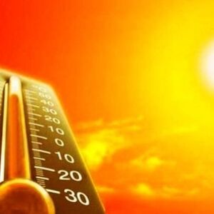 راهکار عجیب چینی‌ها برای فرار از آفتاب‌سوختگی/ عکس