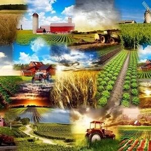 صادرات تمامی محصولات غذایی و کشاورزی ممنوع شد