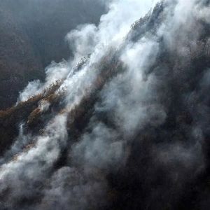 آتش همچنان زبانه می کشد/ فریاد کمک جنگل‌های هیرکانی