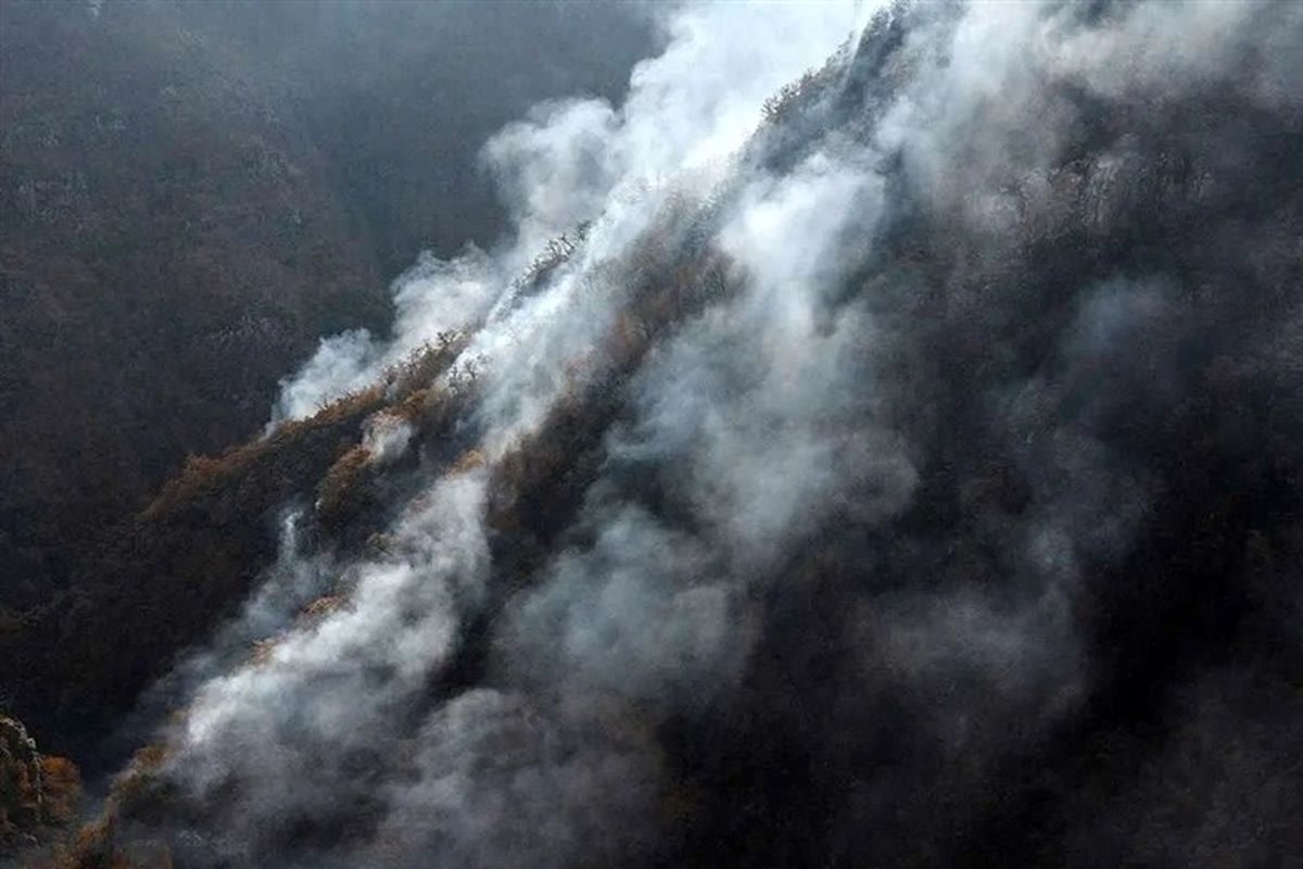 آتش همچنان زبانه می کشد/ فریاد کمک جنگل‌های هیرکانی