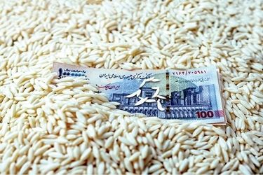 قیمت برنج، ترمز برید!