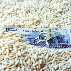 قیمت برنج، ترمز برید!