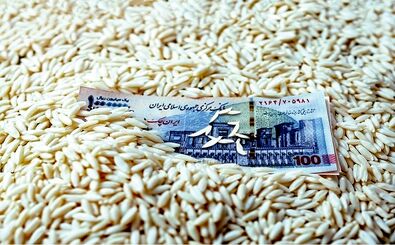 قیمت برنج، ترمز برید!
