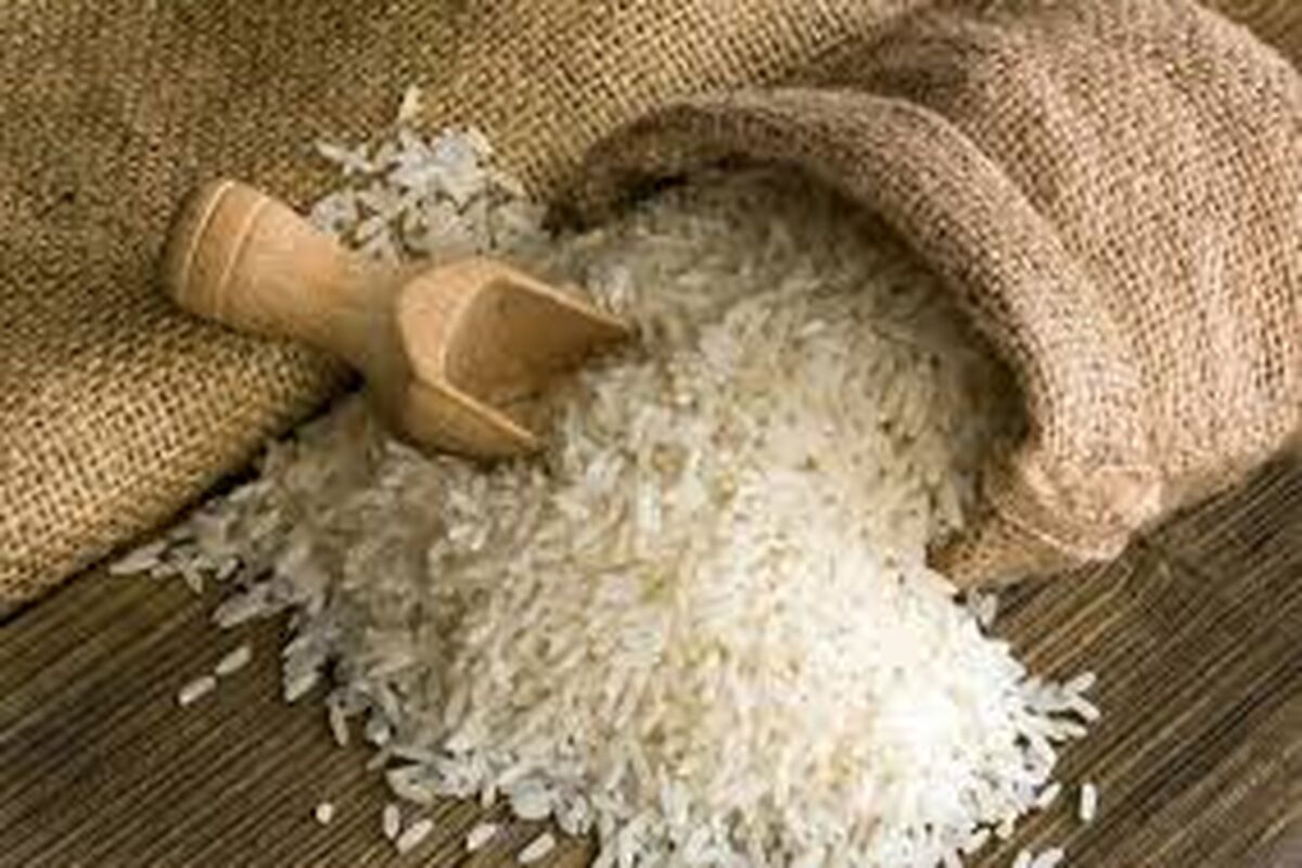 برنج نیم میلیون می شود؟