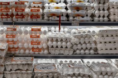 وزیر کشاورزی: قیمت فعلی تخم‌مرغ منطقی است