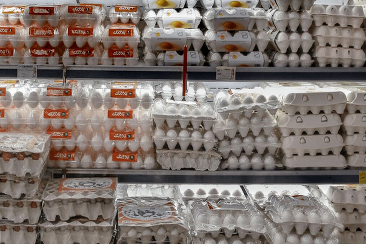 وزیر کشاورزی: قیمت فعلی تخممرغ منطقی است