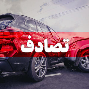 لحظات پریدن جلوی خودرو برای گرفتن دیه/ ویدئو