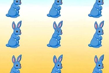 تمام خرگوش‌های این تصویر را در عرض 6 ثانیه پیدا کنید