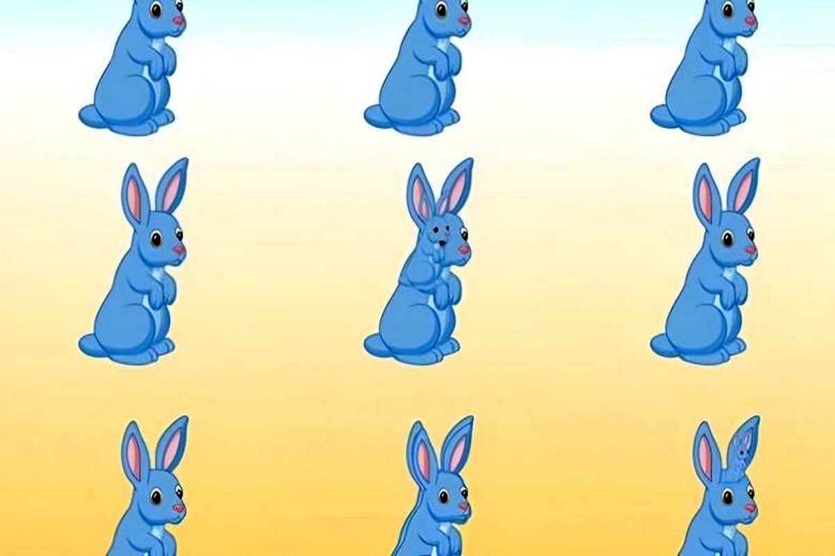 تمام خرگوش‌های این تصویر را در عرض 6 ثانیه پیدا کنید