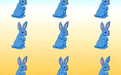 تمام خرگوش‌های این تصویر را در عرض 6 ثانیه پیدا کنید