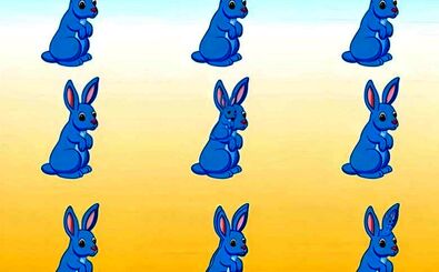 تمام خرگوش‌های این تصویر را در عرض 6 ثانیه پیدا کنید