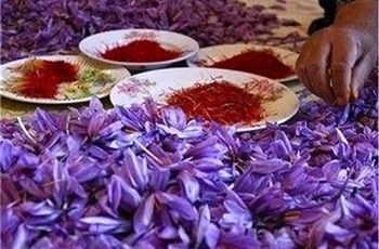قیمت جدید زعفران اعلام شد/ زعفران کیلویی چند؟