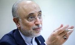  وزیر اسبق خارجه: علامت شیر و خورشید متعلق به جمهوری اسلامی ایران است/ ویدئو