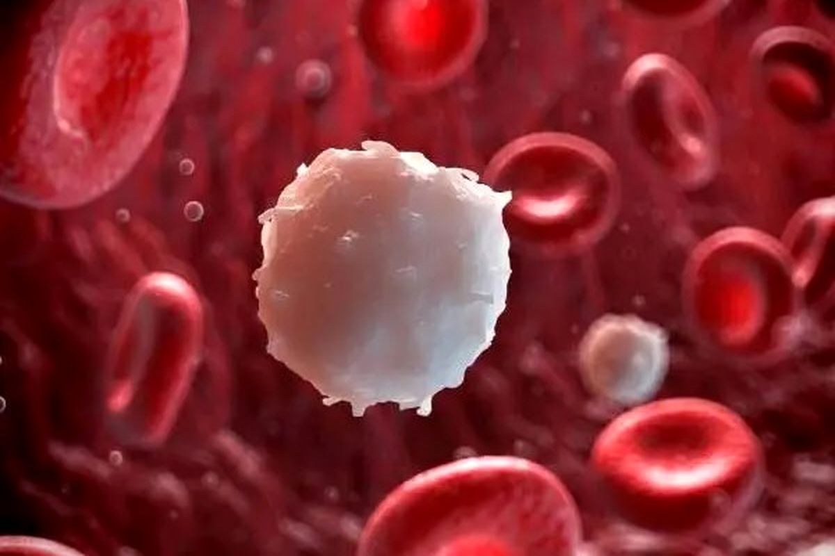 این میوه قاتل چربی خون است