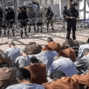 شکنجه و تجاوز جنسی وحشیانه به یک خبرنگار فلسطینی با سگ