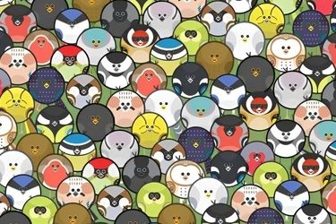 کرم خاکی را میان پرندگان پیدا کنید!