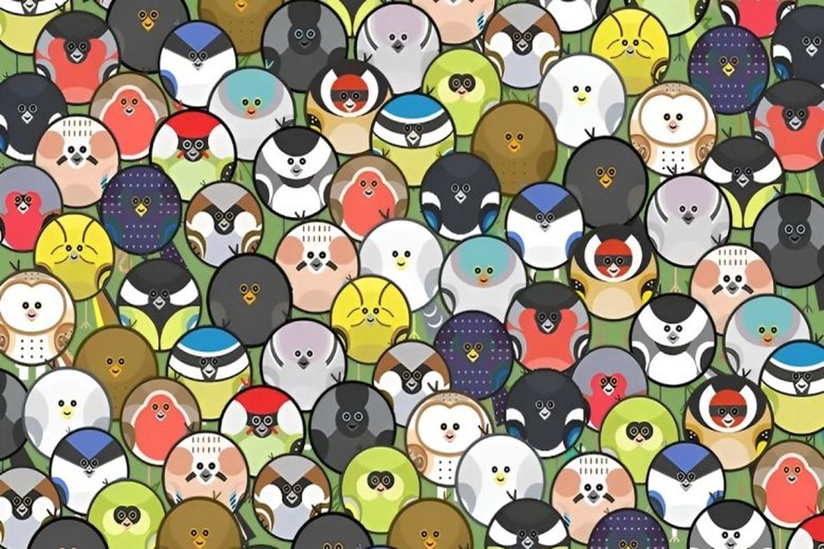 کرم خاکی را میان پرندگان پیدا کنید!