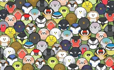 کرم خاکی را میان پرندگان پیدا کنید!