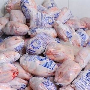 آغاز توزیع مرغ تنظیم بازاری در فروشگاه‌ها
