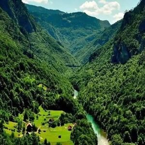 تصویری از تغییر ترسناک جنگل‌های هیرکانی