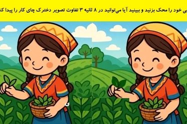  آیا می‌توانید در 8 ثانیه ۳ تفاوت در این دو تصویر پیدا کنید؟