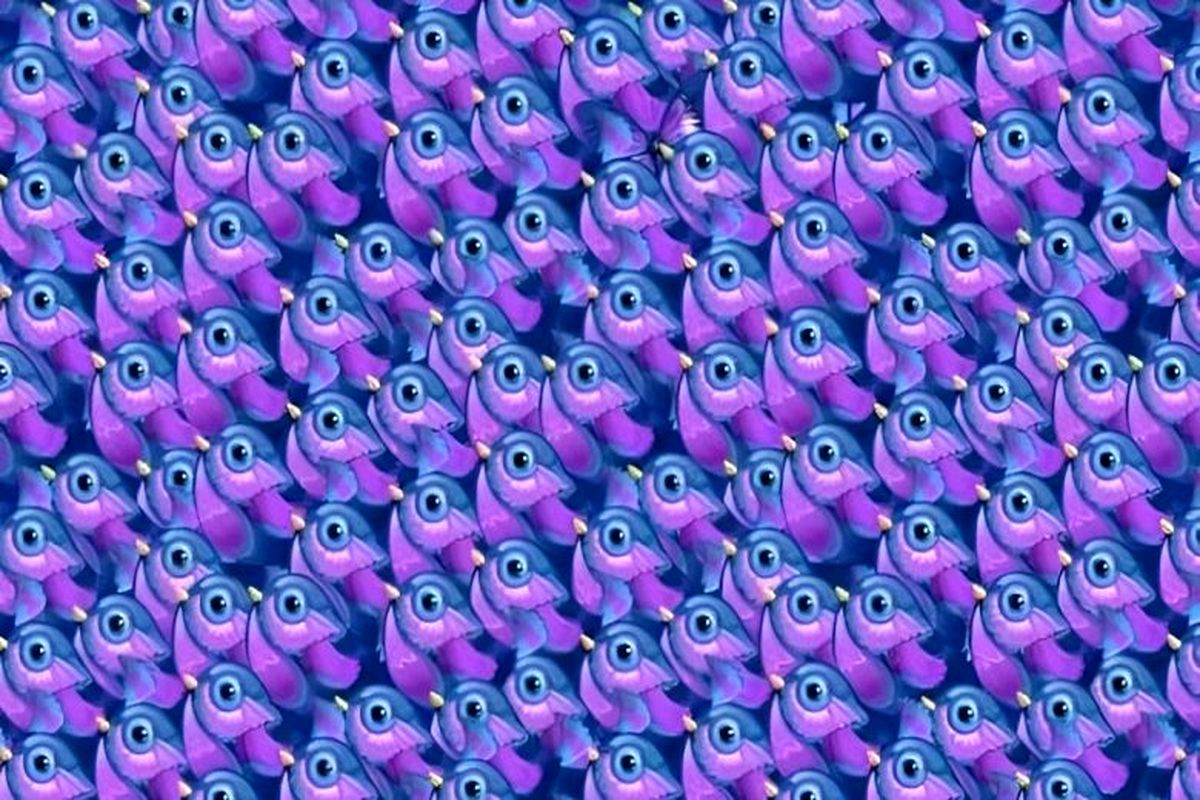 برای تقویت مهارت مشاهده‌تان پروانه را میان پرندگان پیدا کنید!