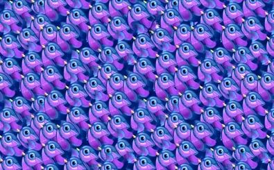 برای تقویت مهارت مشاهده‌تان پروانه را میان پرندگان پیدا کنید!