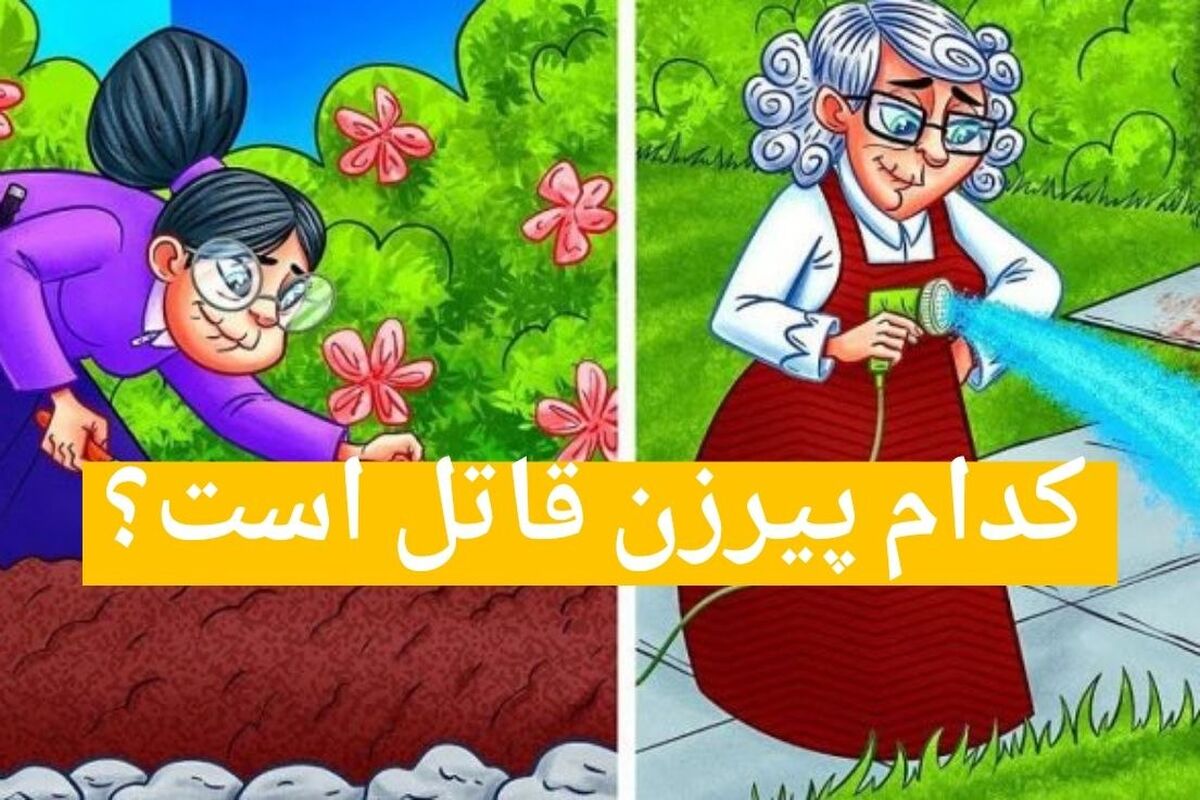 بگو کدوم پیرزن قاتل است؟
