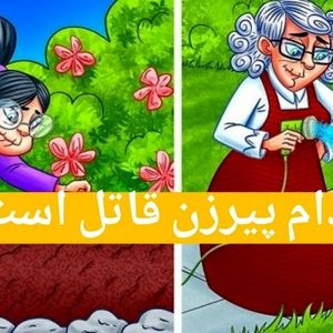 بگو کدوم پیرزن قاتل است؟
